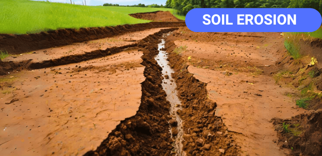 Soil erosion, causes and types