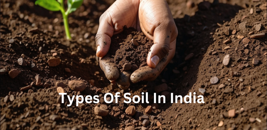 Types Of Soil In India